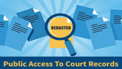 FORT BEND COUNTY DISTRICT CLERK S OFFICE visual data 5